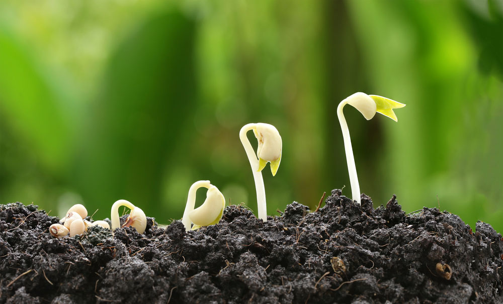 Contract Renewal Process Best Practices | Concord
