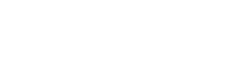 widelity logo white
